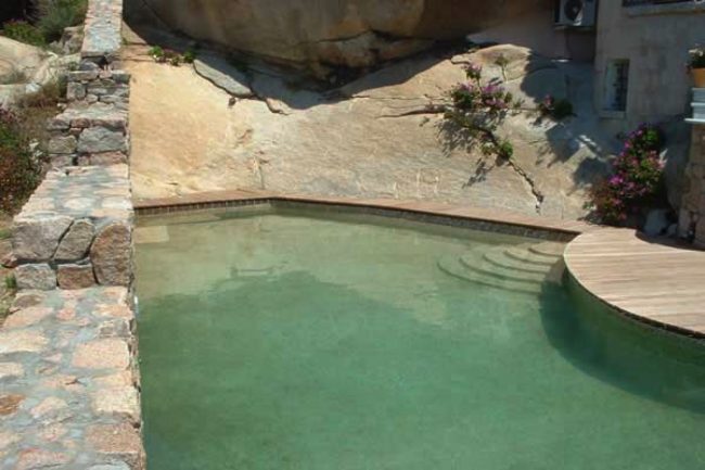 Piscina forma libera